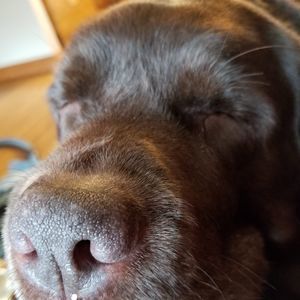 Meet your Posher, Arber